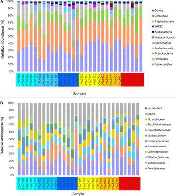 Effects of Dietary Alteration on the Gut Microbiome and Metabolome of the Rescued Bengal Slow Loris